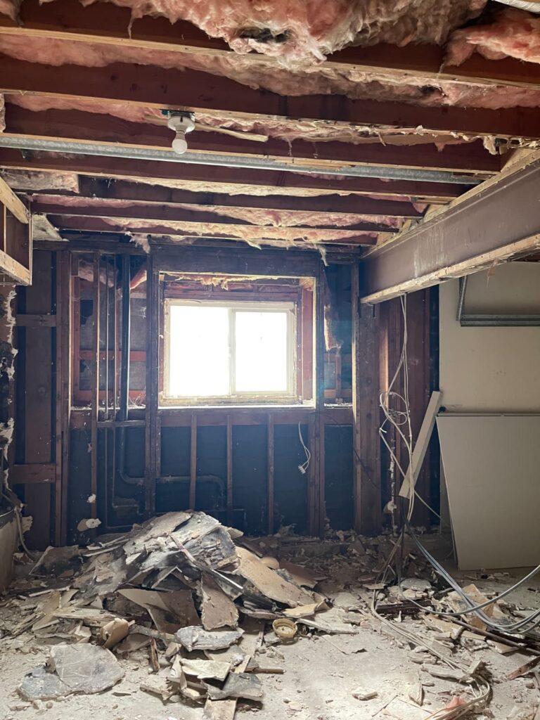 WhatsApp Image 2026-02-11 at 16.04.48